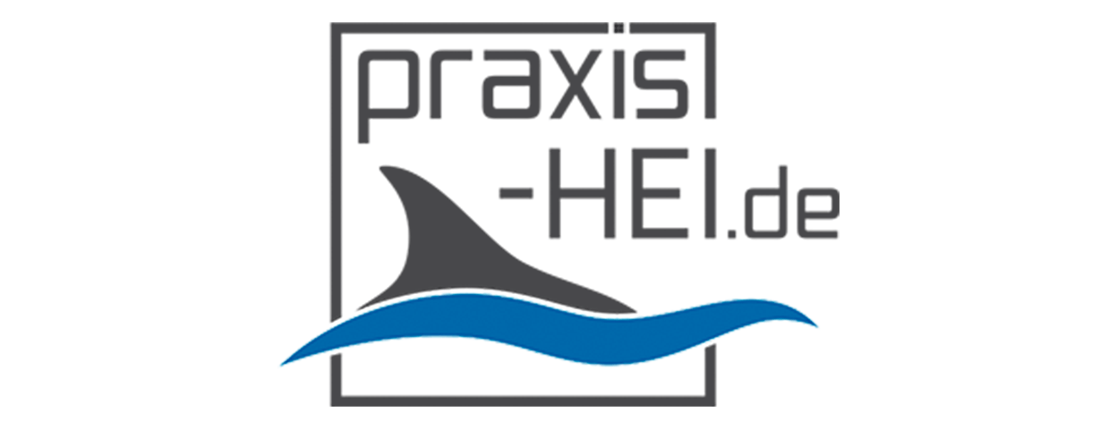 It Weitblick Logo Kunde Praxis Hei