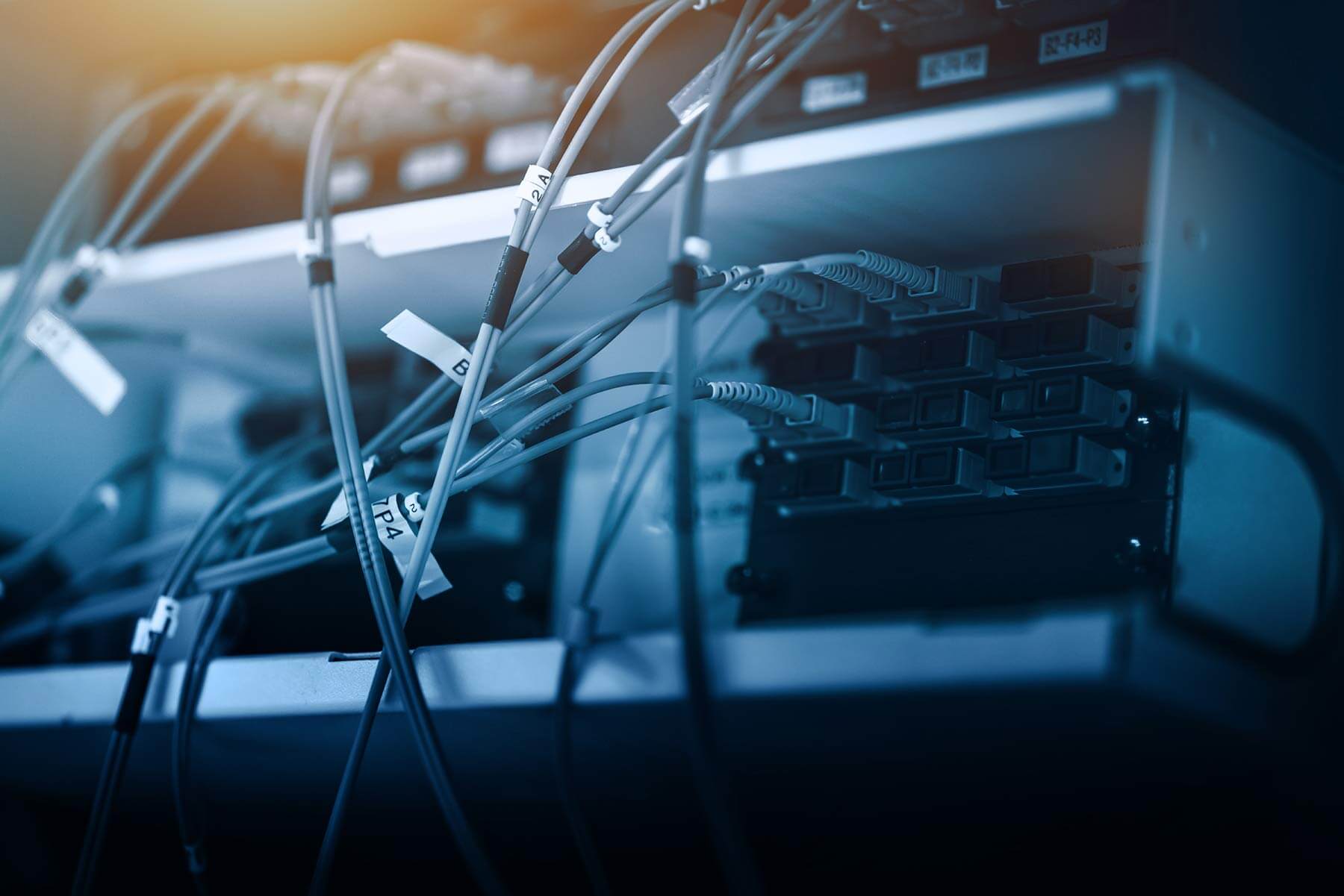 Nahaufnahme eines Technikracks mit zahlreichen angeschlossenen Glasfaserkabeln. Die Kabel sind mit beschrifteten Etiketten versehen und führen zu mehreren Ports auf Netzwerkmodulen. Die Szene ist in kühlem Blauton gehalten und zeigt eine strukturierte Verkabelung.
